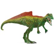 Książka : Konkawenat...