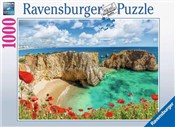 Polnische buch : Puzzle 100...