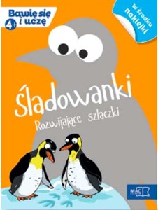 Obrazek Śladowanki Rozwijające szlaczki (4+)