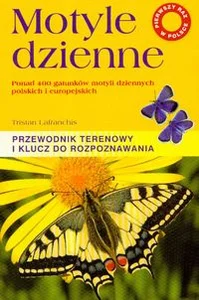Obrazek Motyle dzienne Przewodnik terenowy i klucz do rozpoznawania