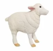 Polska książka : Owca 45cm