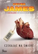 Polska książka : Czekając n... - Peter James