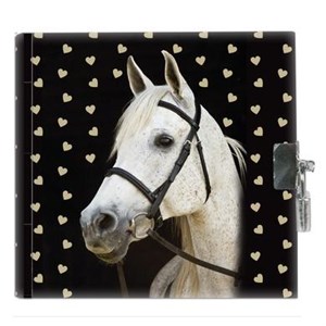 Bild von Pamiętnik z kłódką Horse