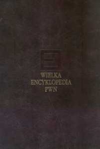 Bild von Wielka encyklopedia PWN Tom 19