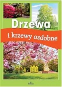 Obrazek Drzewa i krzewy ozdobne