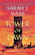 Tower of D... - Sarah J. Maas - buch auf polnisch 