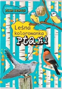 Bild von Ptaki Leśna kolorowanka