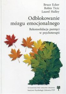 Obrazek Odblokowanie mózgu emocjonalnego Rekonsolidacja pamięci w psychoterapii