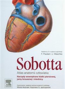 Obrazek Atlas anatomii człowieka Sobotta Tom 2
