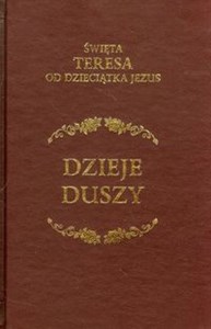 Obrazek Dzieje duszy