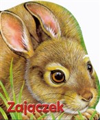 Zajączek - Monika Eisele, Ray Cresswell -  polnische Bücher