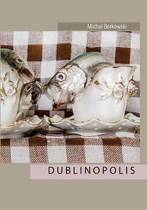 Bild von Dublinopolis