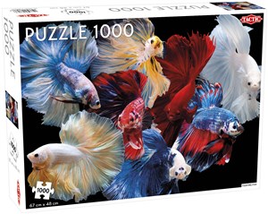 Obrazek Puzzle Bannerfish 1000