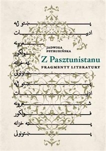 Obrazek Z Pasztunistanu. Fragmenty literatury