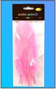 Obrazek Piórka twarde jasnoróżowe 10szt