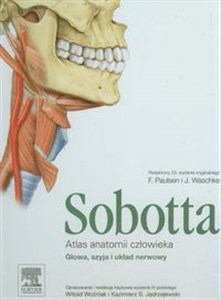 Obrazek Atlas anatomii człowieka Sobotta Tom 3
