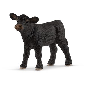 Obrazek Aberdeen Angus Cielę