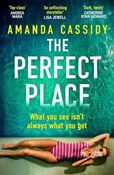 Polska książka : The Perfec... - Amanda Cassidy