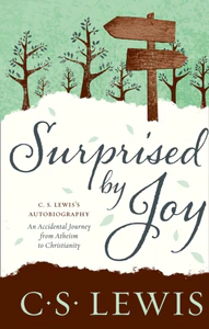 Bild von Surprised by Joy