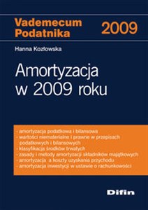 Obrazek Amortyzacja w 2009 roku