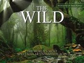 Zobacz : The Wild - Claudia Martin