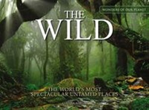 Bild von The Wild