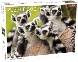 Obrazek Puzzle Lemurs 500