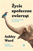 Zobacz : Życie społ... - Ashley Ward