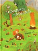 Zobacz : O dwunastu... - Opracowanie Zbiorowe