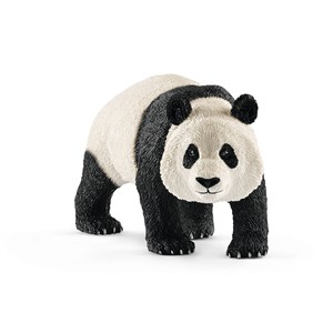 Bild von Panda wielka samiec