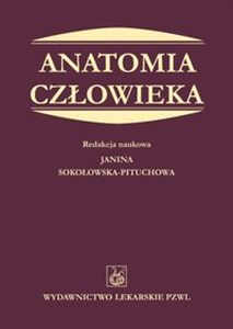 Obrazek Anatomia człowieka