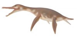 Bild von Dinozaur dolichorhynchops