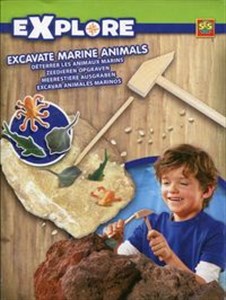 Obrazek Skałki wykopaliska Zwierzęta morskie