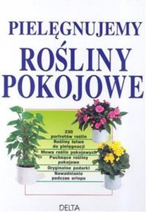 Obrazek Pielęgnujemy rośliny pokojowe