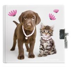 Obrazek Pamiętnik z kłódką Rachael Hale