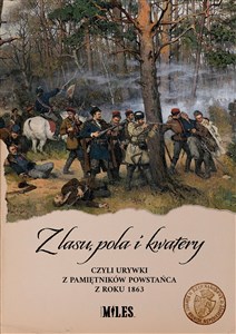 Obrazek Z lasu pola i kwatery czyli urywki z pamiętników powstańca z roku 1863