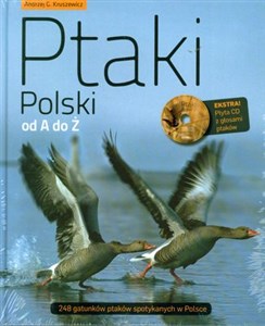 Bild von Ptaki Polski od A do Ż + CD 248 gatunków ptaków spotykanych w Polsce