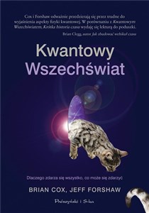 Obrazek Kwantowy Wszechświat DL