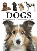 Zobacz : Dogs - Tom Jackson