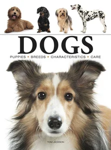 Obrazek Dogs