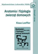 Anatomia i... - Klaus Loeffler -  polnische Bücher