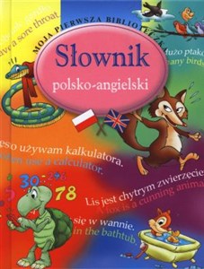 Bild von Słownik polsko-angielski
