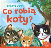 Polska książka : Co robią k... - Renata Opala, Kazimierz Wasilewski