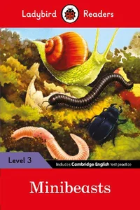 Bild von Minibeasts Ladybird Readers Level 3