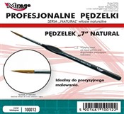 Pędzelek n... - buch auf polnisch 