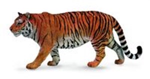 Obrazek Tygrys syberyjski XL