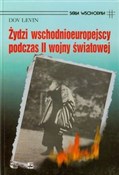 Żydzi wsch... - Dov Levin -  polnische Bücher