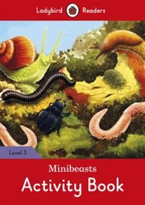 Bild von Minibeasts Activity Book Ladybird Readers Level 3