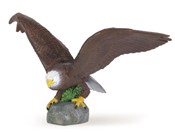 Orzeł - Ksiegarnia w niemczech