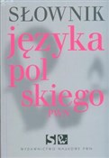 Słownik ję... - Lidia Drabik -  polnische Bücher